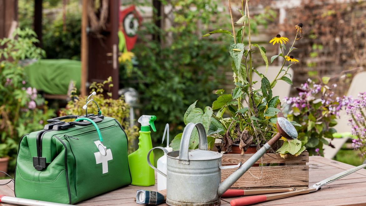 Trattamenti fitosanitari: il tuo giardino sempre al top