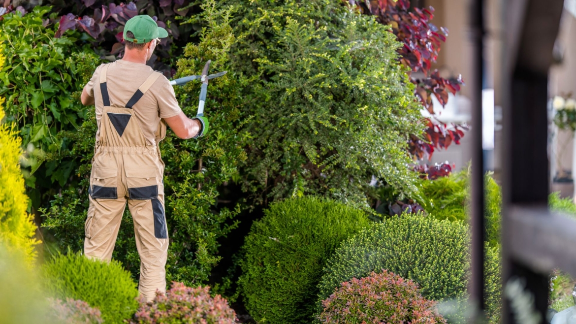 Manutenzione giardino di marzo: prepariamoci alla primavera