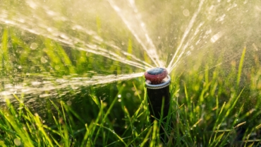 Scegli il miglior sistema di irrigazione per il giardino: interrato, a goccia, fuori terra
