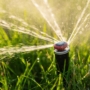 Scegli il miglior sistema di irrigazione per il giardino: interrato, a goccia, fuori terra